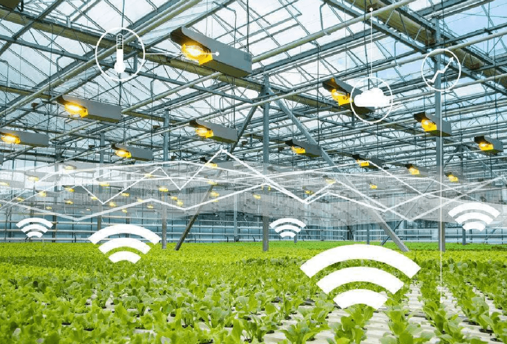 物聯網時代下，物聯卡在智慧農業中的應用場景與特性解析